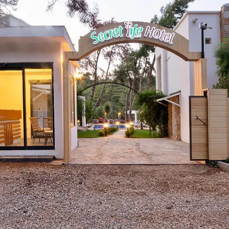 Hotel Secret Life Hotel *